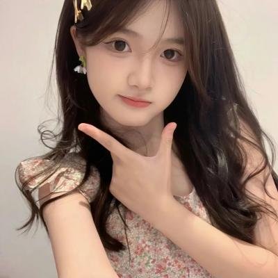 西环的故事 海报