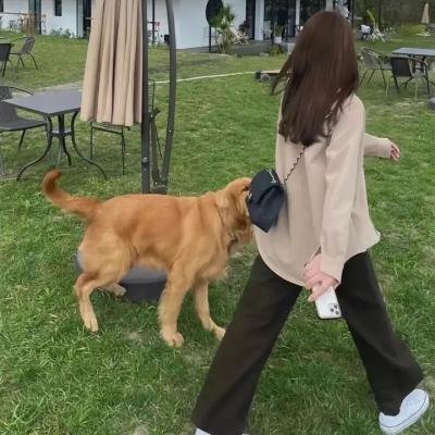 笑着活下去 海报
